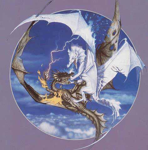 Fighting Dragons