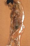 brown1.jpg (3817 bytes)