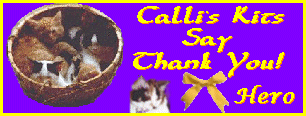 Cali's Kit Award