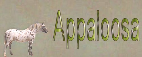 appybackgroundbutton.jpg (19098 bytes)