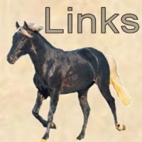 linksbutton.jpg (9572 bytes)