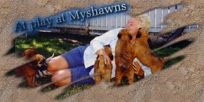 At play at Myshawns