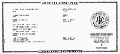 AKC Registration Certificate of Steel Blue Chukchi One. Click to enlarge!
