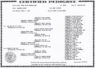 AKC Certified Pedigree of Steel Blue Chukchi One. Click to enlarge!