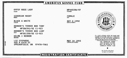 AKC Registration Certificate of Gypsy Rose Lady. Click to enlarge!