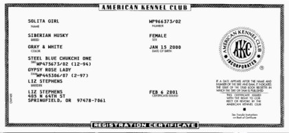 AKC Registration Certificate of Solita Girl. Click to enlarge!