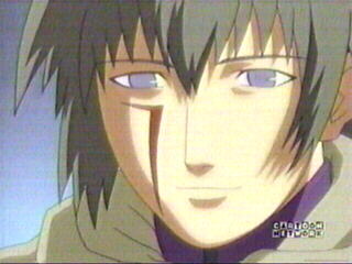 Raven looks kind of like Tsukasa.