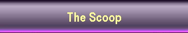 The Scoop