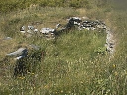 tymawr1