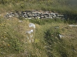 tymawr2