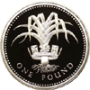 pound