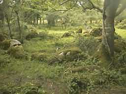 village1