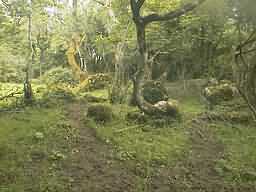 village2