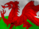 flag