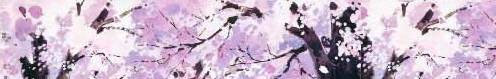 Hearty Haven of Cherry Blossom