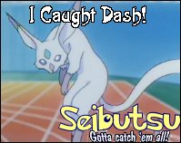 Dash