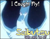Fly