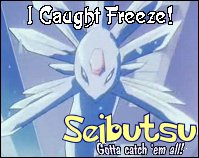 Freeze