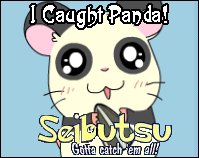 Panda (Panda-Kun)