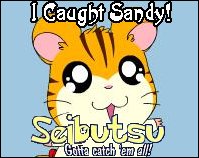 Sandy (Torahamu-Chan)