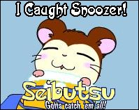 Snoozer (Neteru-Kun)