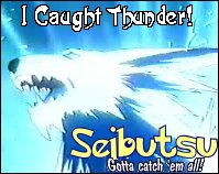 Thunder