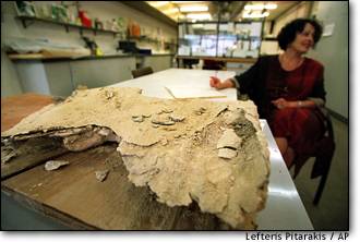 Image: Coffin remains