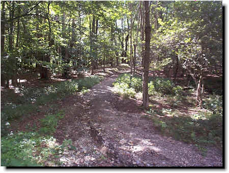 Rainbow Path