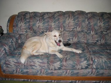 Muhahahaha! Look at me! I took the remote!