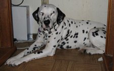 Awww, but I don't want me picture taken!