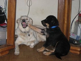 Hmmmm...have you been brushing?