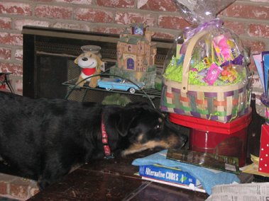 You don't see me! I'm not tryin' to break into the Easter basket! Honest!