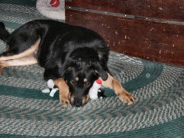 In love with Sylvester