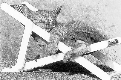 Nap time