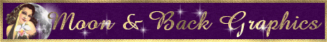 Moon & Back Graphics