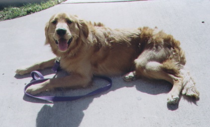 Carmel 1year.JPG (37150 bytes)