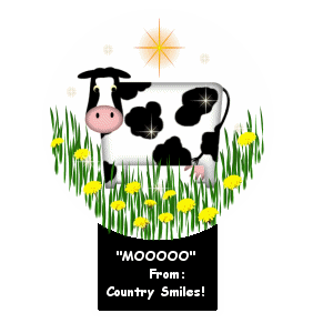 Mooo.gif (21885 bytes)
