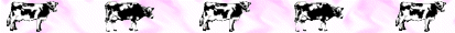cow_bar.gif