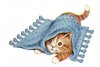 kitty4.jpg