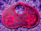 antiqueplanchette.JPG (34976 bytes)