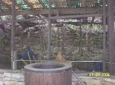 ..."OMG whatever it was...isnt HERE anymore, look at the holes in the fence..."