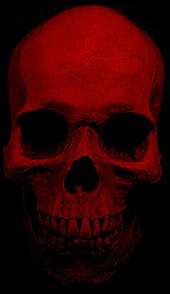 skull.jpg
