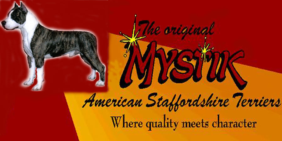 Mystik logo