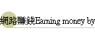 �����ȿ�Earning money by internet