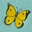 butterfly