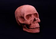 Clay Head!