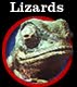 Click here to visit Frank and Louie the Budweiser Lizards