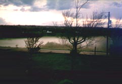 pictou county