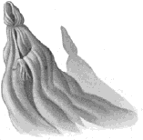 .:A dementor:.