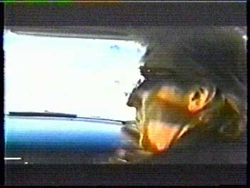 Electric_Dog_House_Generartions_9